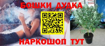 jwh Лесосибирск