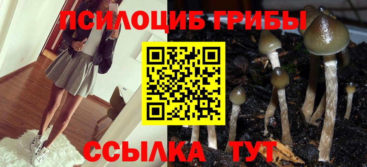 Уварово  Псилоцибиновые грибы мухоморы  Вход с VPN 